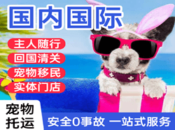 唐山航空托运国际宠物托运 【国